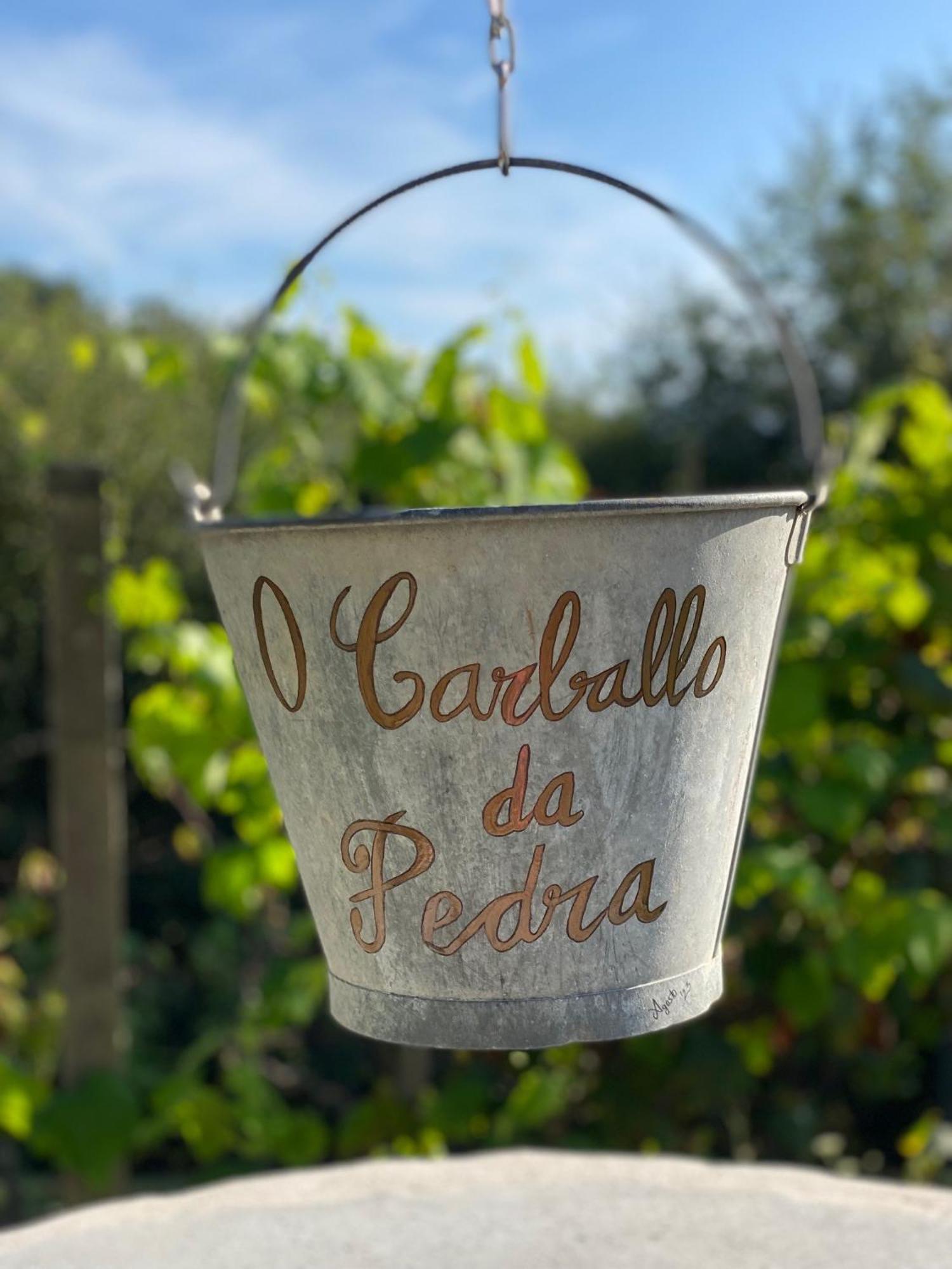 Casa Rural O Carballo Da Pedra La Caniza Ngoại thất bức ảnh