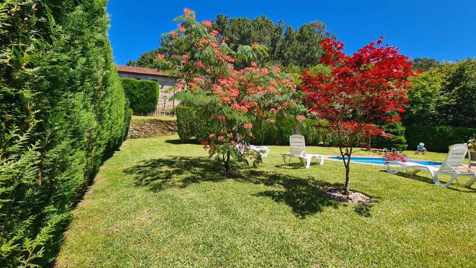 Casa Rural O Carballo Da Pedra La Caniza Ngoại thất bức ảnh
